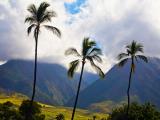 Polynesian Adventure Tours Hana Tour Polynesian Adventure Tours Hana Tour